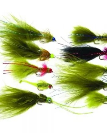 10 MODERN PRO DAMSEL SELECTION (mixed patterns)