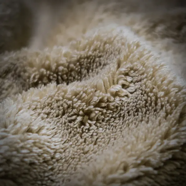 Vanguard Fleece-Lined Hoodie