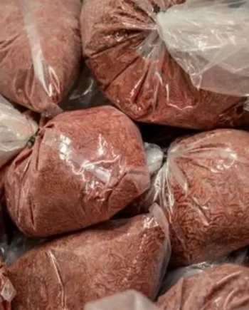 FROZEN DEAD MAGGOTS 1 PINT BAGS.