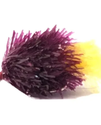10 X Blob -Dark Claret/Yellow Tailed size 10 barbed unweighted /BL22