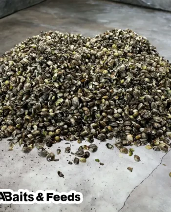 Crushed Hemp seed