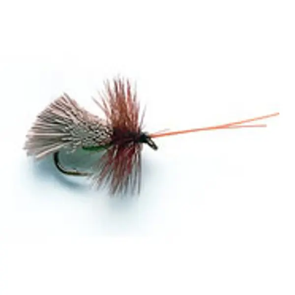 25 SEDGE SELECTION
