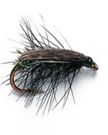 12 NYMPHS