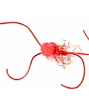 10 X Booby Bloodworm Red / BB 7