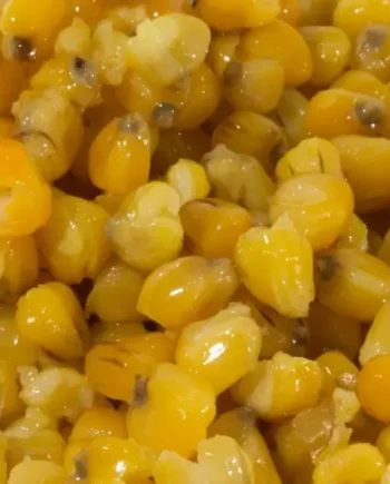 Prepared Maize