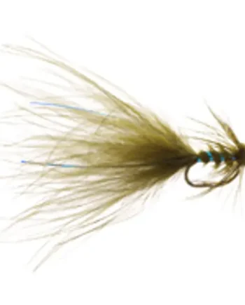 Flashy Blue Head Damsel S/S