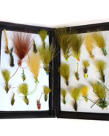 25 Pro Damsels + FREE Black Box