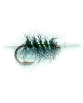 15 BUZZER SELECTION (mixed patterns)