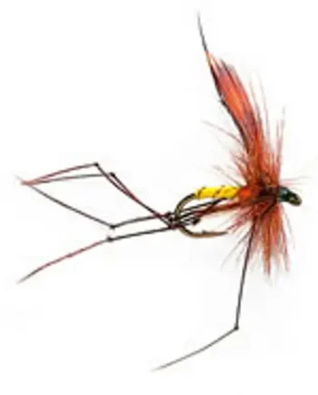 10 DADDY SELECTION (mixed patterns)