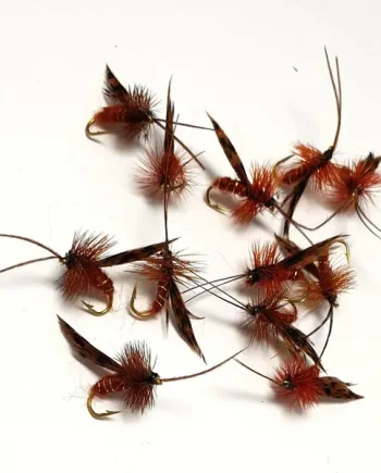 X6 MURROUGH SEDGE