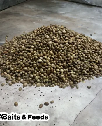 Hemp Seed (Large-Chinese)