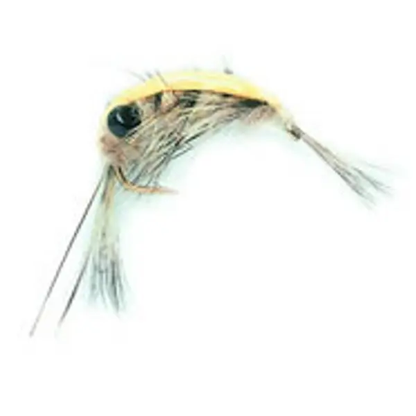 10 BEETLES, BUGS & SHRIMPS