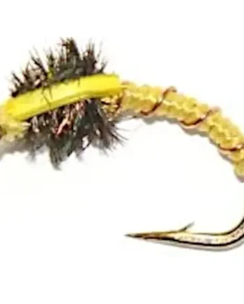 10 X Blakestone-Buzzer-Yellow #12 Barbed [BL7]