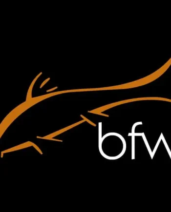Donate to BFW