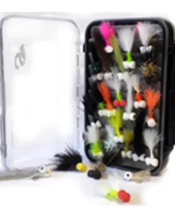 25 Boobys + Clear Seal Box