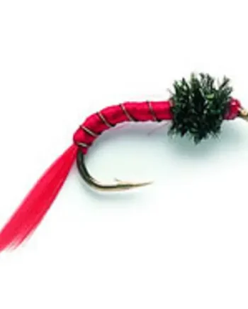 Nymph BLOODWORM