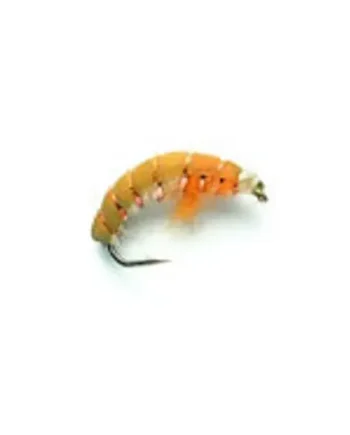 10 CZECH NYMPHS