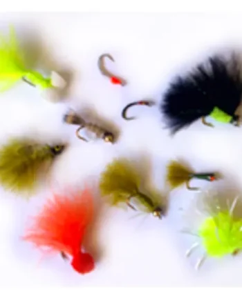 10 MIXED ‘HEAT WAVE’ FLIES